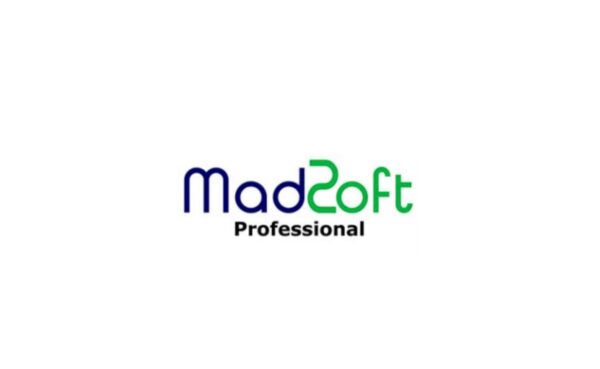 Madsoft Professional (with Accounting and Billing) Lite Plan